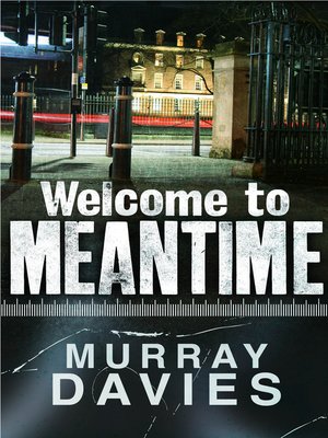 cover image of Welcome to Meantime